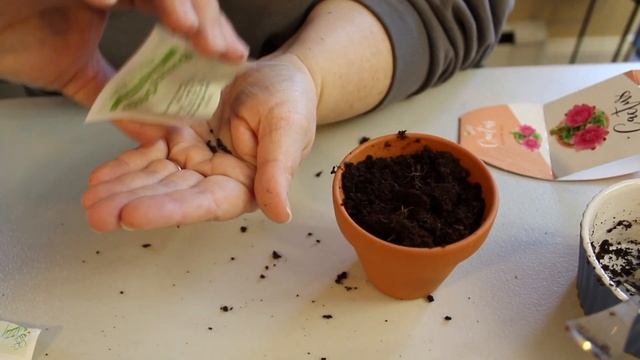 Trying Out Cactus & Chamomile Grow Kits смотреть онлайн