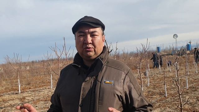 Бак даават Ысыкол Балыкчы питомник. смотреть онлайн