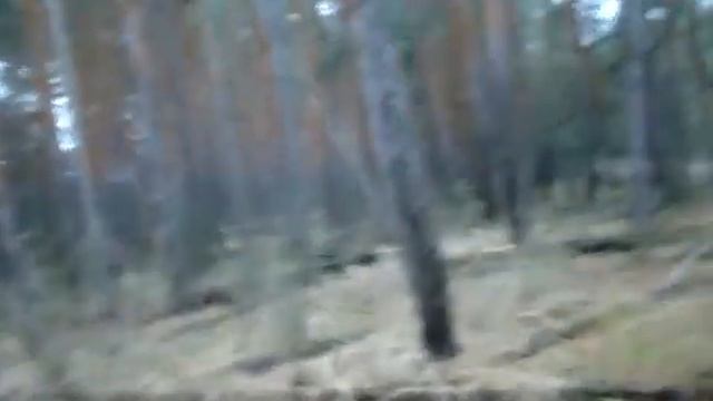 Рпг Раскат 1.3 г первый его заяц! смотреть онлайн