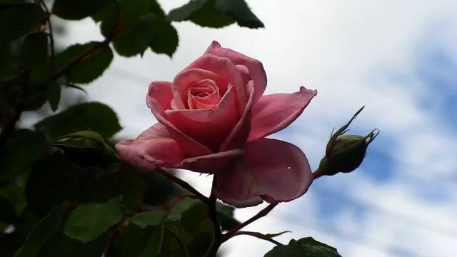 Хорошая песня и видео онлайн смотреть онлайн