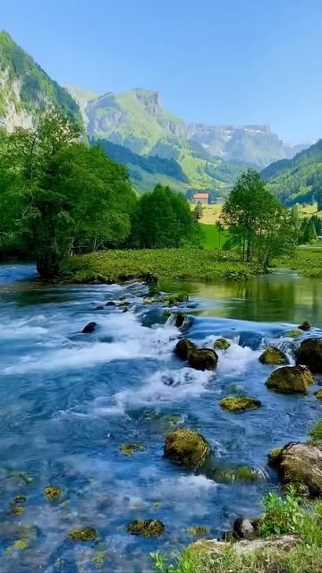 Швейцария прекрасна #путешествие #природа #озеро #красивый #удивительный #водопад | #шариклайф смотреть онлайн