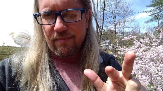 Second week online HUM 124 смотреть онлайн