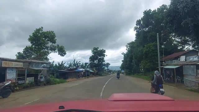 Land Travel Don Salvador Benedicto Negros Occidental to San Carlos City Philippines смотреть онлайн