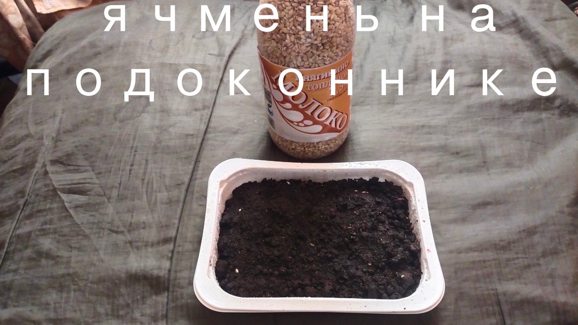 Посадка ячменя из магнита (эксперимент) смотреть онлайн