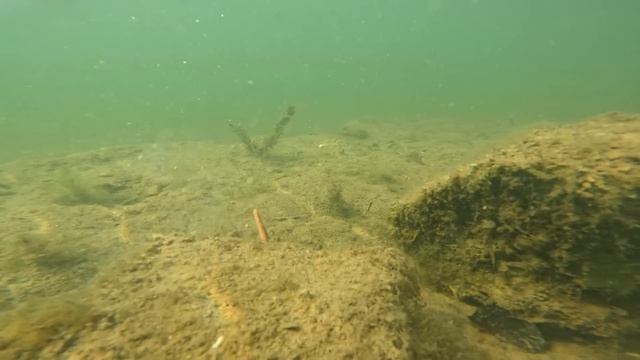 Présentation des nouveautés VMC 2024 (FR) смотреть онлайн