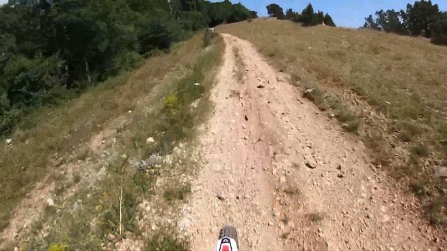 Arctic Leopard In Crimea.