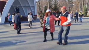 У РЕКИ У РЕЧКИ РОС КУДРЯВЫЙ КЛЕН