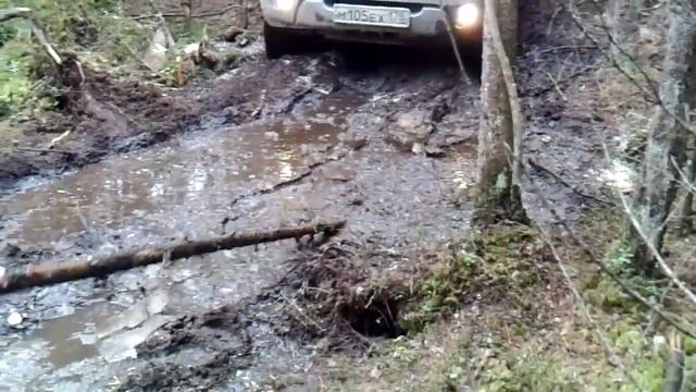 День бобра смотреть онлайн