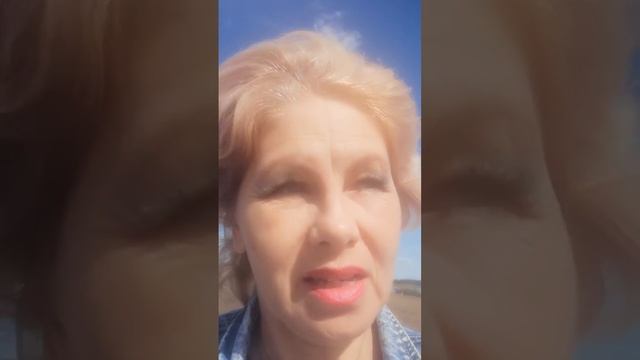 Ищу семью лебедей смотреть онлайн