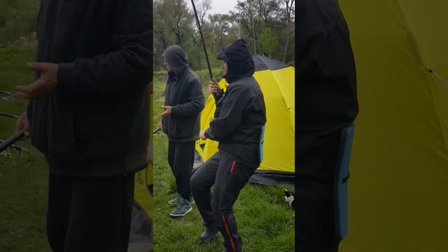 Рыба её мечты(2) смотреть онлайн