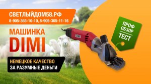 Машинка для стрижки овец Дими. Стрижем очень грязную овцу машинкой Дими. Обзор машинки + тест
