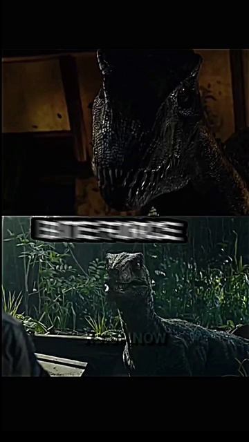 Indoraptor Vs Blue Velociraptor Inspired Njordr #jurassicworld #shorts смотреть онлайн