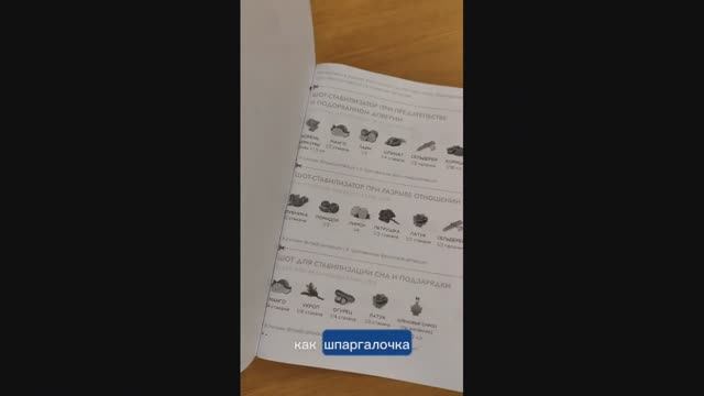 Вот так выглядит сборник шотов для терапии мозга (рецепты Медикал Медиум) в распечатанном виде.