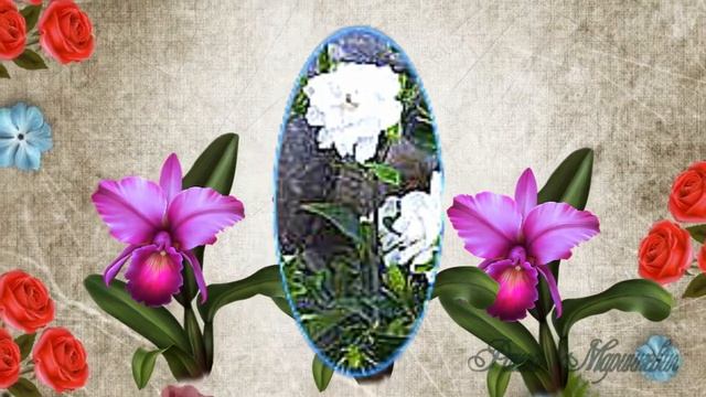 ПЕРЕДЕЛ ШАБЛОНА смотреть онлайн