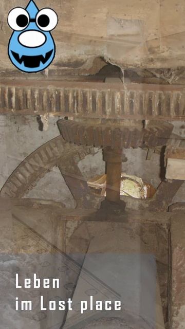 👻Leben im Lost-Place👻 #lostplace #abandonedplaces #diy #fachwerk #historical #mill #watermill смотреть онлайн