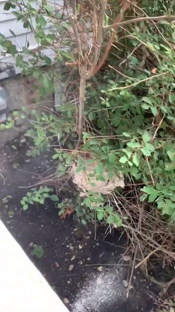 August 17, 2020 смотреть онлайн