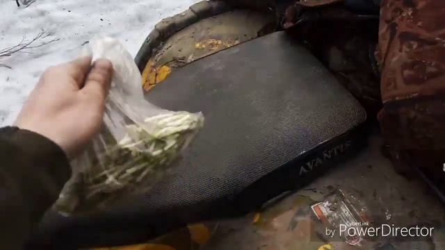 Выезд в лес за колбой!!! смотреть онлайн