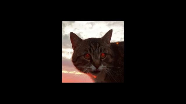 Haddaway - What Is Love (slowed+bass boosted) смотреть онлайн