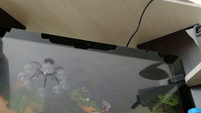 капхэд 2 часть жабы айропоан и цветок смотреть онлайн