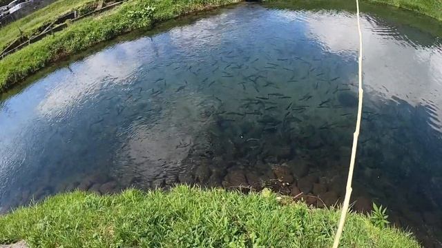 Summer trip ＠塩釜冷泉 смотреть онлайн