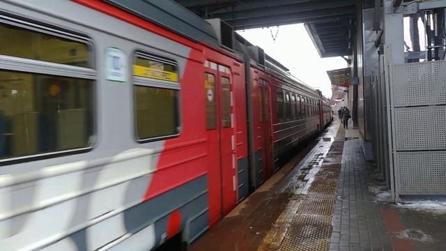 Электропоезд ЭД4М-0254 РЭКС платформа Ростокино