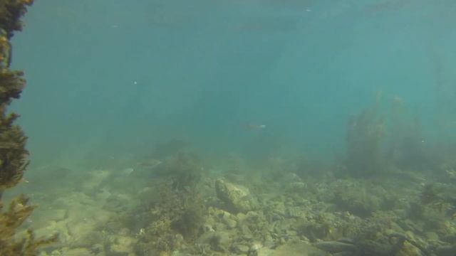 Без акваланга часть 8