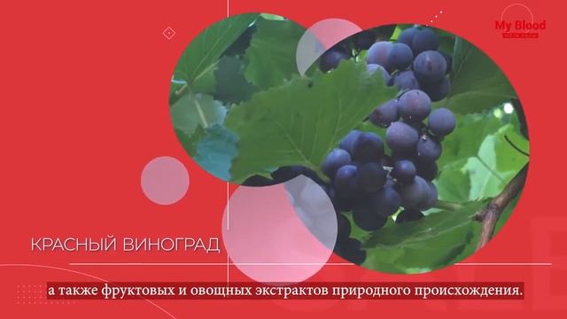 DuoLife My Blood Моя Кровь смотреть онлайн