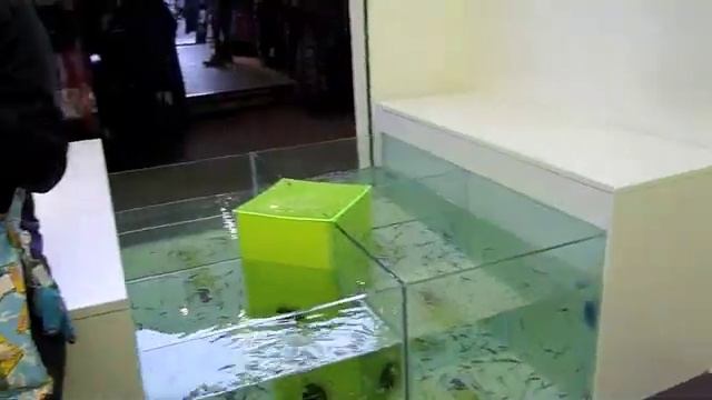 Camden Garra Rufa Fish Feeding Frenzy смотреть онлайн