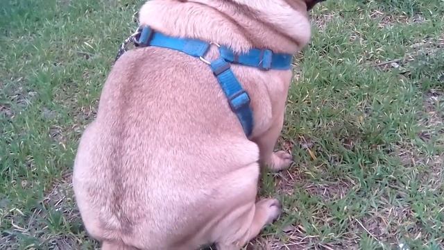 Хорошо сидим. смотреть онлайн