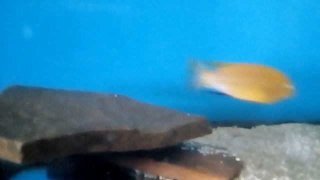 VID 20180528 115406 смотреть онлайн