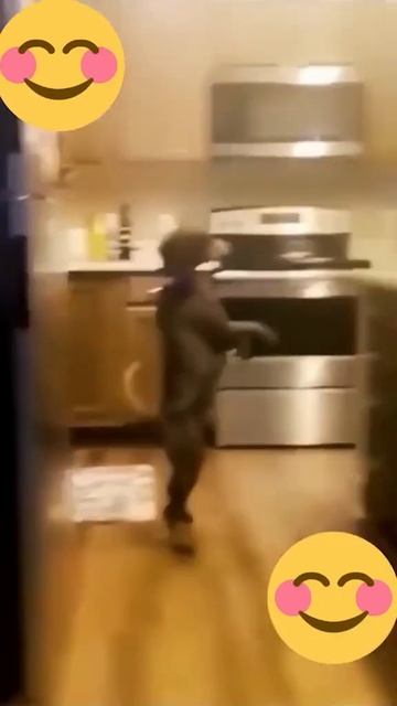 Best Animal Hilarious Moment Ever! Funniest Dogs 🐶 And Cats 😹 - Best Funny Animal Videos 2023 😇 #11 смотреть онлайн