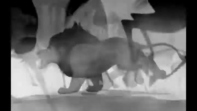 Lion King Lifehouse - broken смотреть онлайн