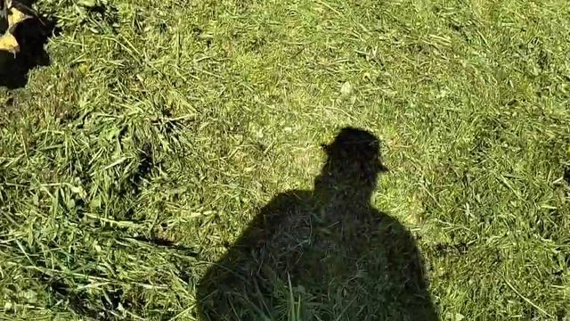 Конец мая. Огородные дела. У нас начало сенокоса. Все практически посажено, ждём урожая. смотреть онлайн