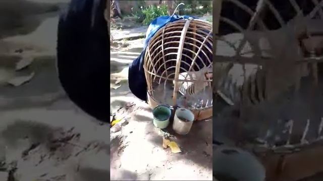 1 ноября 2023 г. смотреть онлайн