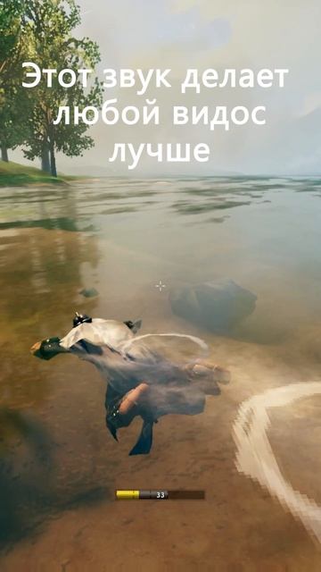 Морская свинка кродется смотреть онлайн
