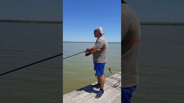 Varna carp team смотреть онлайн