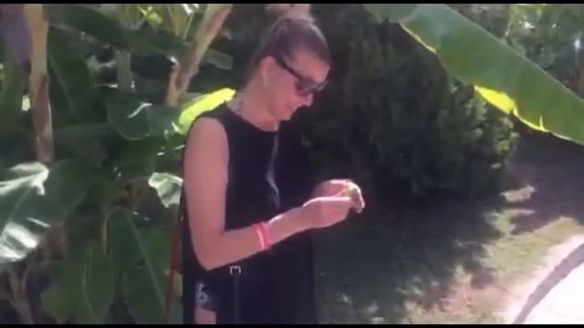 Турция. Отель Санлайт Резорт