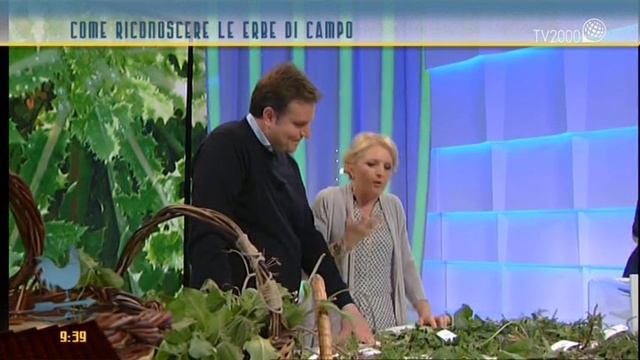 Come Riconoscere Le Erbe Di Campo