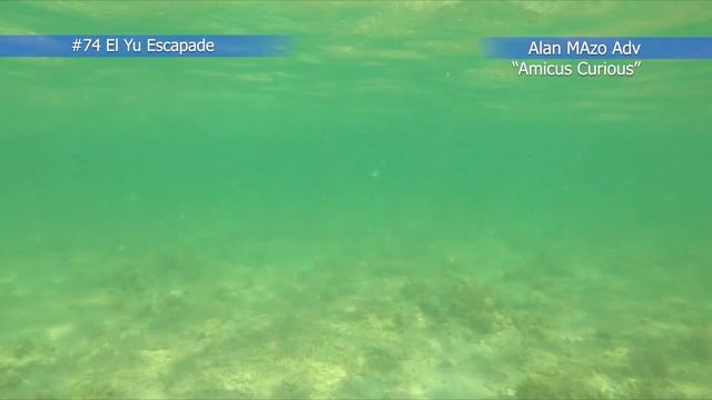#74 El Yu Escapade Featuring Blue Marlin Resort & Ciano Umok смотреть онлайн