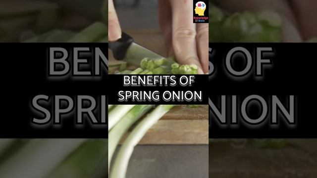 #springonion #healthyfood #vegetables #healthylifestyle #food #benefits смотреть онлайн