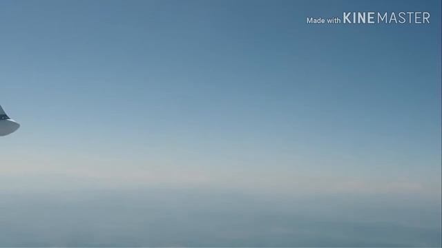 AIRBUS BELUGA XL FIRST FLIGHT смотреть онлайн