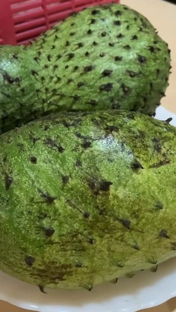 Guyabano! Yummy! #fruits #guyabano #yummy #soursop #shortvideo #shortsyoutube #shortsviral #shorts смотреть онлайн