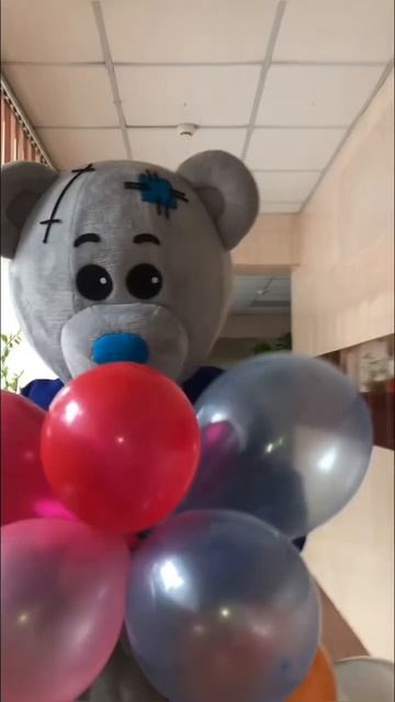 Поздравление мишки Новосибирск 🤍🧸 по всем воспросам звонить +79537751724 #shorts