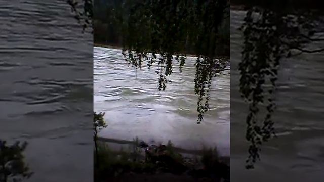 Отдых на Алтае(2) смотреть онлайн