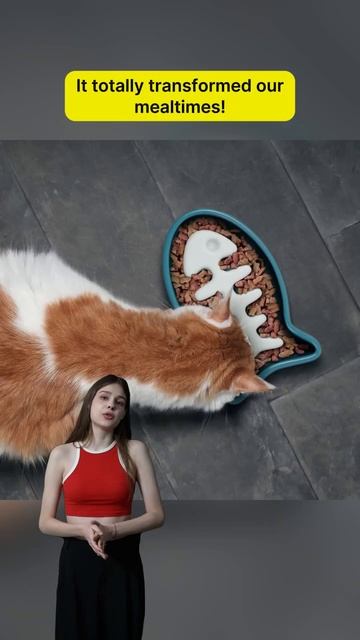 Revolutionize Mealtime With Genuine Fred's Slow Feeder Cat Bowl! #pets#petcare #petgrooming #petfoo