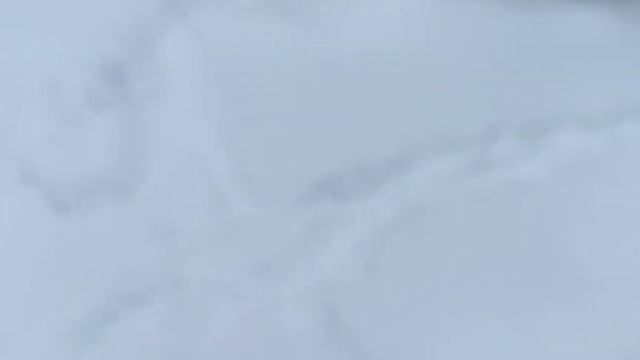 НА КАЮ Н@ПАЛ ЛЕОПАРД? смотреть онлайн