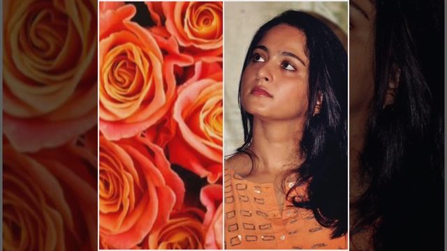 Rose Flowers Vs Anushka Shetty 🥰🥰 смотреть онлайн