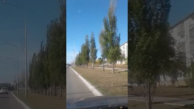 Деревья разошлись под музыку. смотреть онлайн