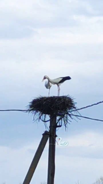 9 апреля 2023 г.