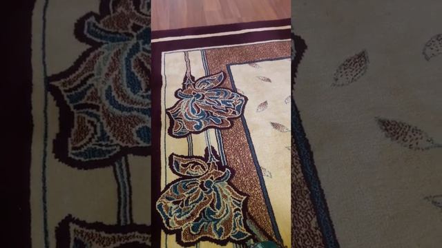 Ercan Demirel elveda deme bana смотреть онлайн